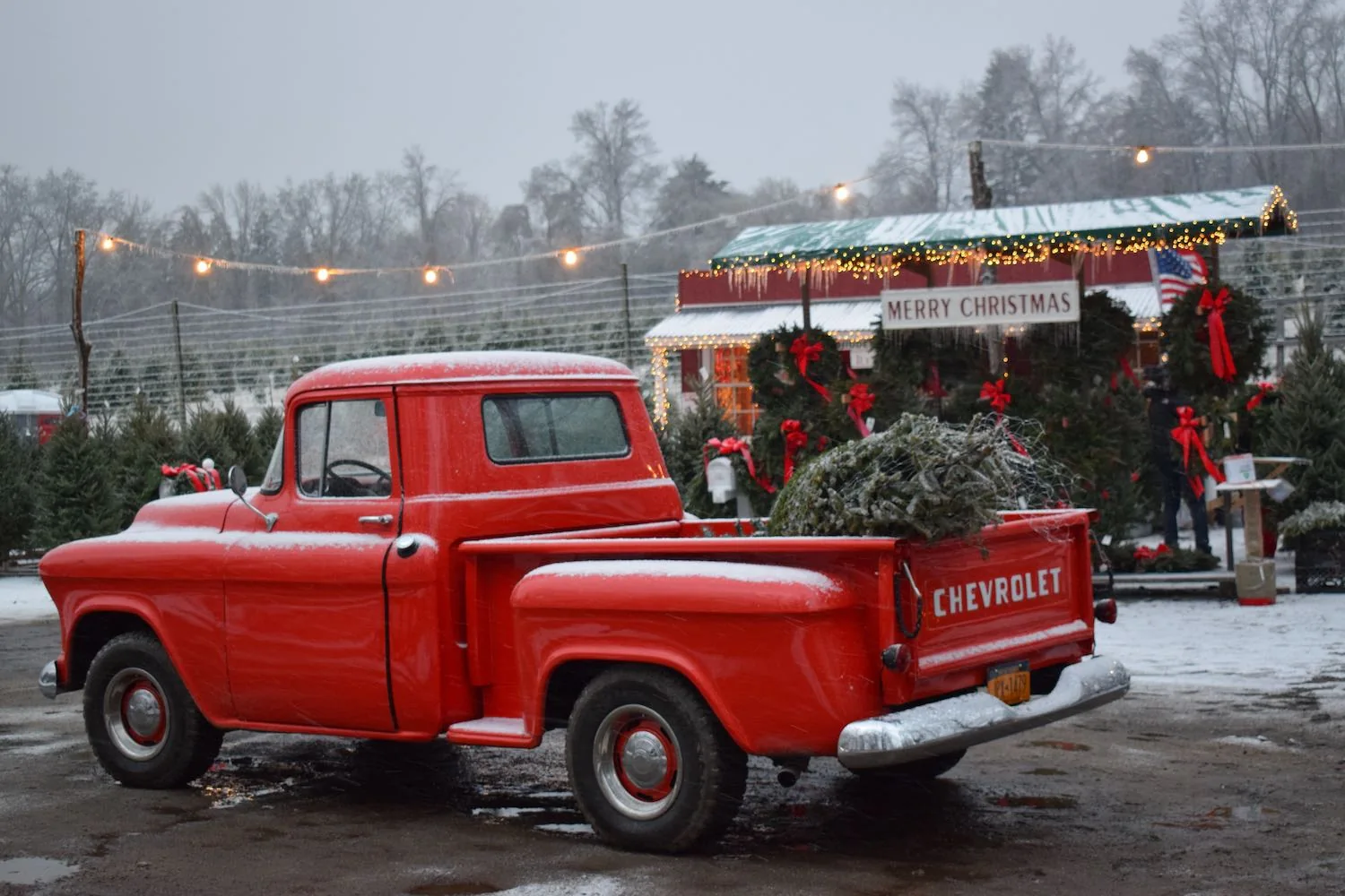 Vintage red pickup truck carrying a Christmas tree outside a festive tree lot